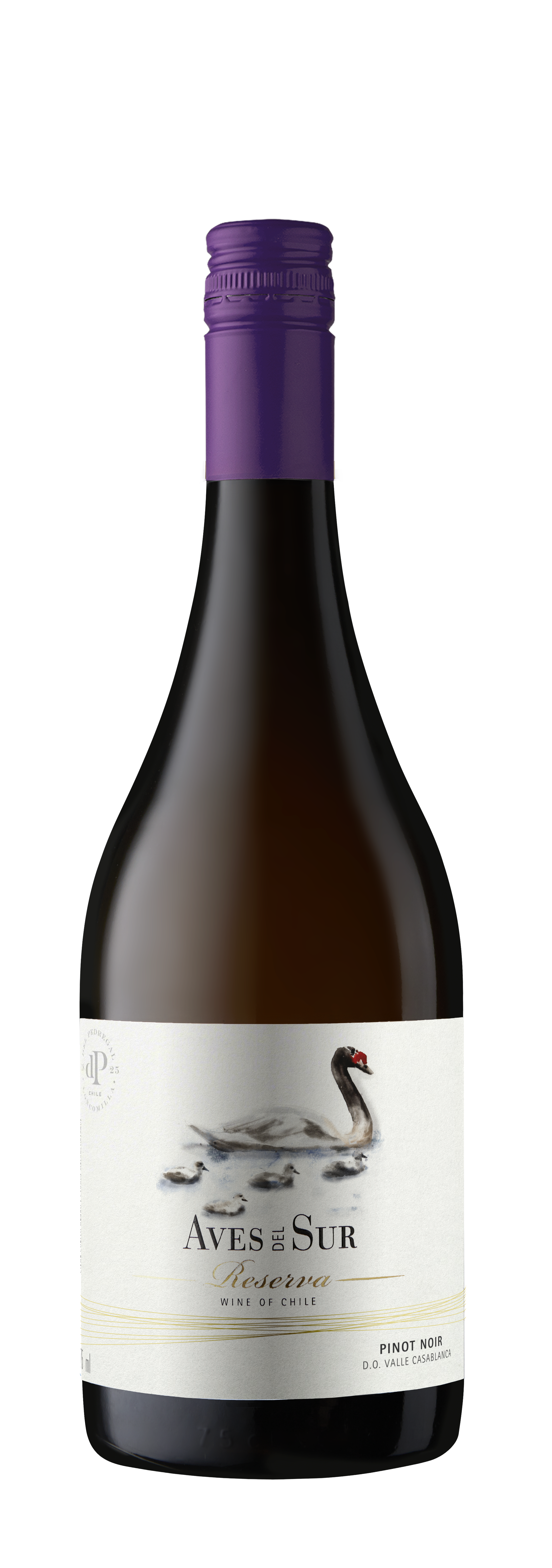 botella